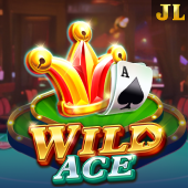 Wild Ace bet100 apk slot